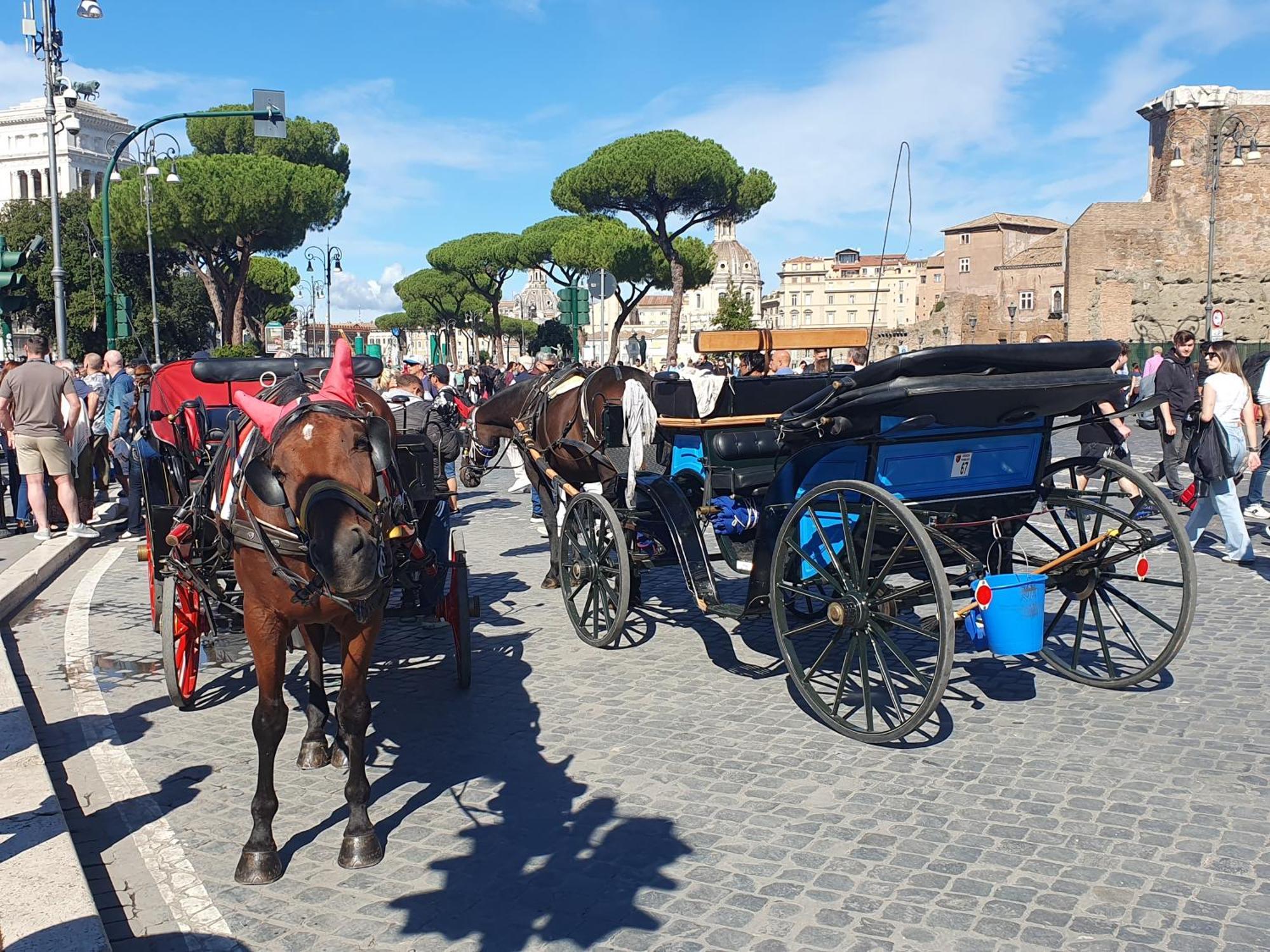 Appartamento Laura's Rhome Roma